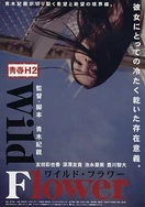 国产精品久久久久麻豆