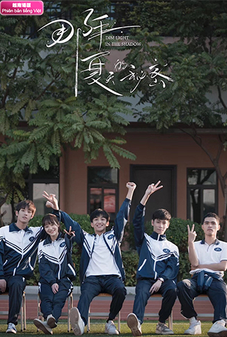 高清欧美videoSseXo